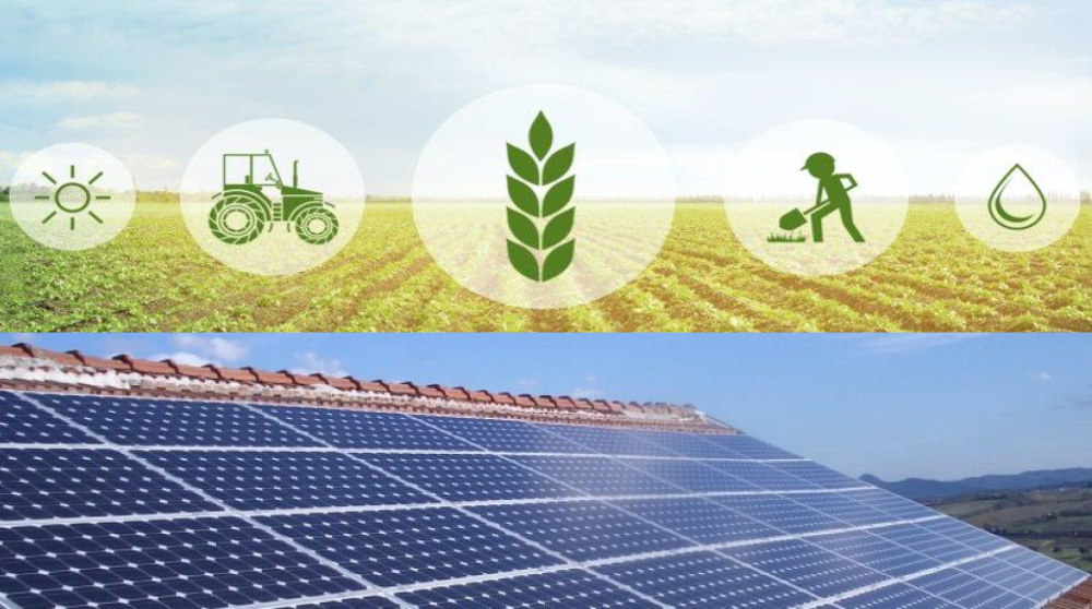 20 OTTOBRE – “Verso l’autonomia energetica dell’impresa agricola” Seminario gratuito su GOOGLE MEET